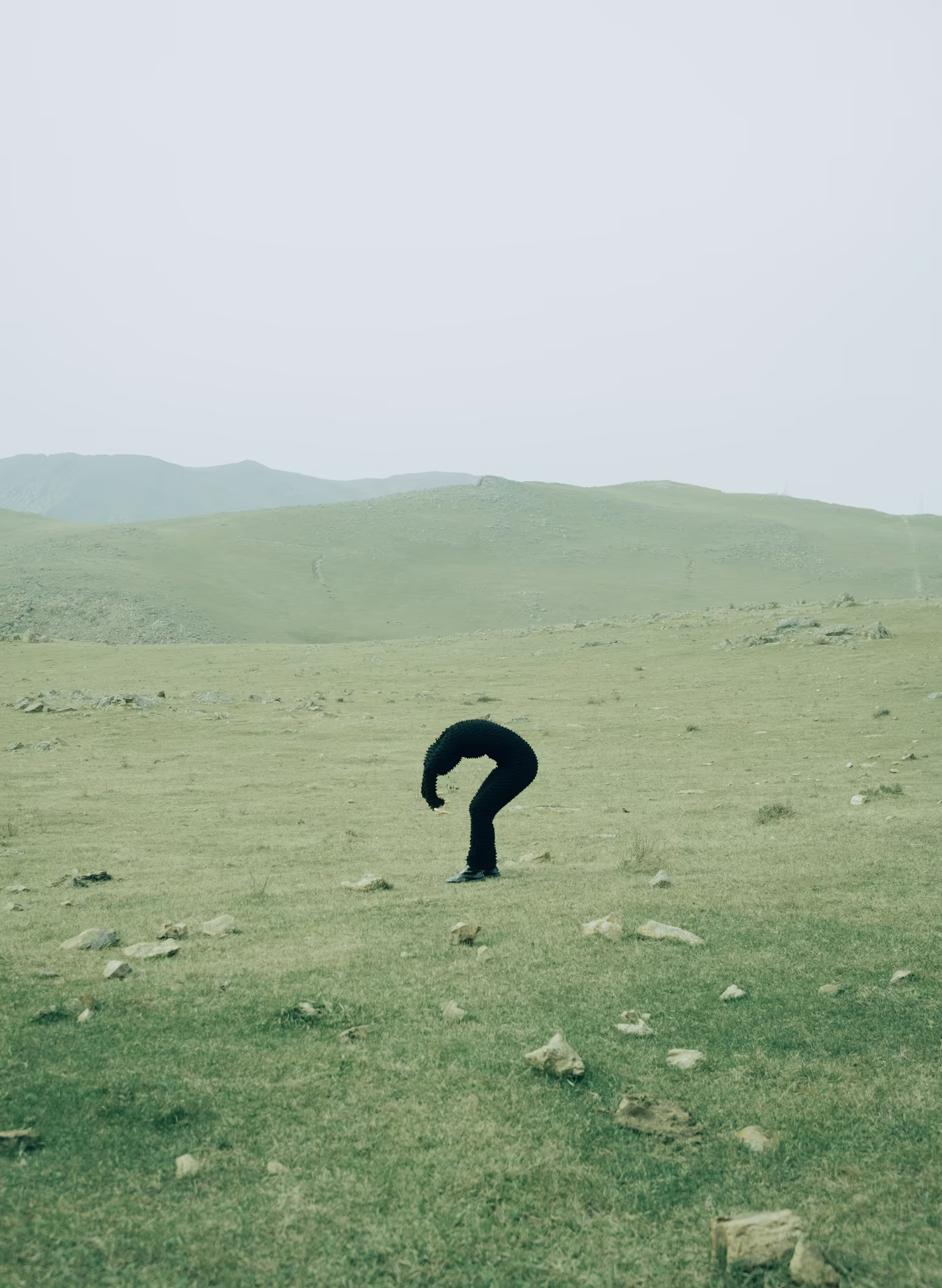 animal-principle-expressive-anjes-design (1)