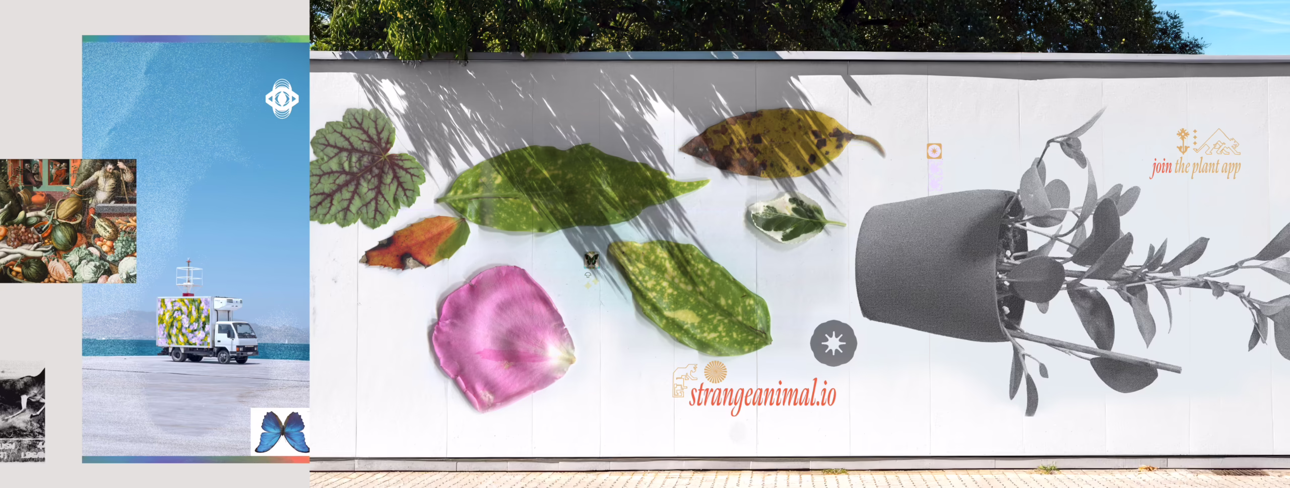 expression-animal-product-branding-ooh-marketing-anjes-design