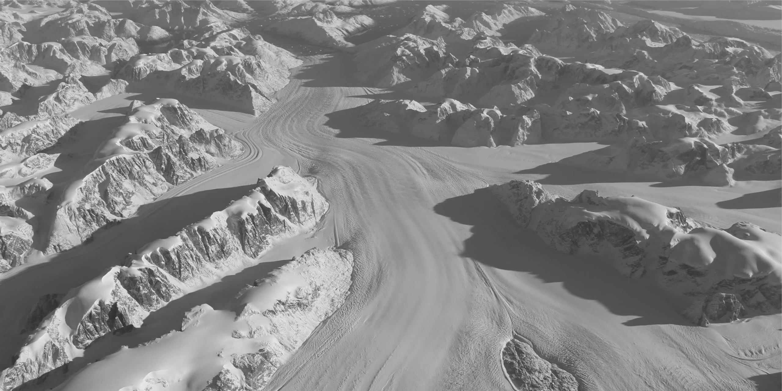 hero — Project Arctic